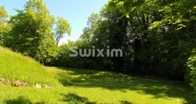 Spacieuse demeure, calme et centralité image 8