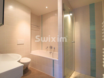 Vaste rez-de-jardin occupant seul son étage image 5