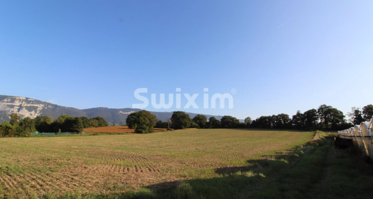 Off Market  - Maison avec piscine image 1