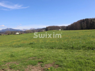 Dernière Villa à saisir ! image 1