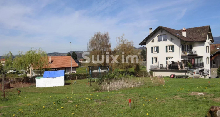 Dernière Villa à saisir ! image 8