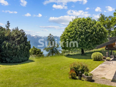 Rare ! Spacieuse maison familiale nichée dans un écrin de nature ! image 8