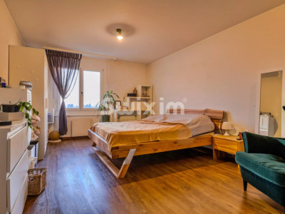 Exclusivité ! Appartement de 2.5 pièces avec vue dégagée image 5