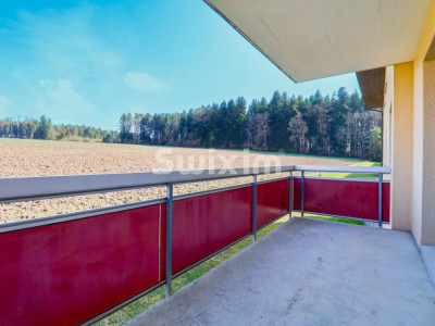 Palézieux · 2.5p entièrement rénové · Balcon vue champs · CHF 465000.- image 7