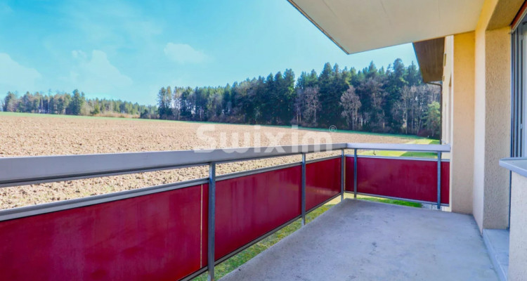Palézieux · 2.5p entièrement rénové · Balcon vue champs · CHF 465000.- image 7