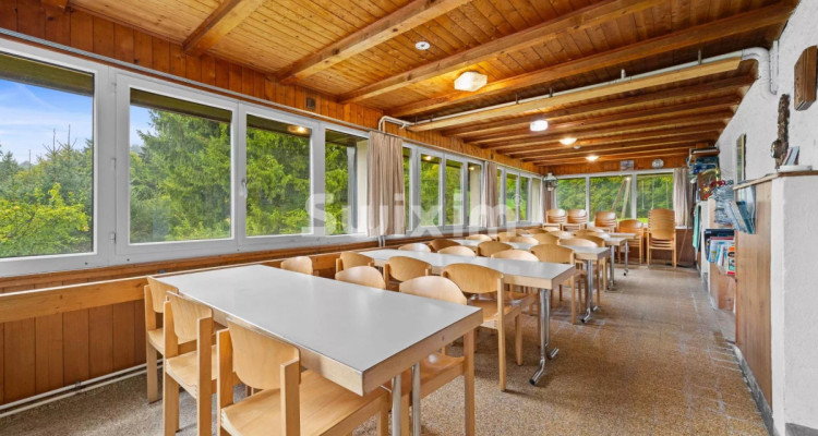 Opportunité ! Gîte/Chalet  Idéal pour Amoureux de la Nature et du Calme ! image 3