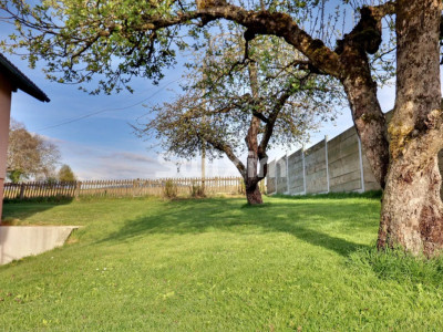 Rare ! Villa familiale avec une vue sur les Préalpes ! image 9