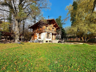 Magnificent property in Bellevue image 1