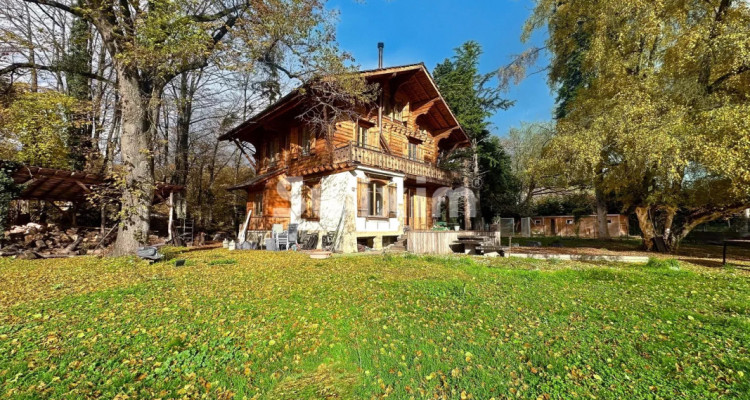 Magnificent property in Bellevue image 1