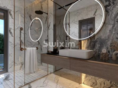 New THPE house in Grand-Saconnex image 6