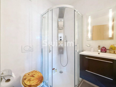 House with garden in Vernier image 11