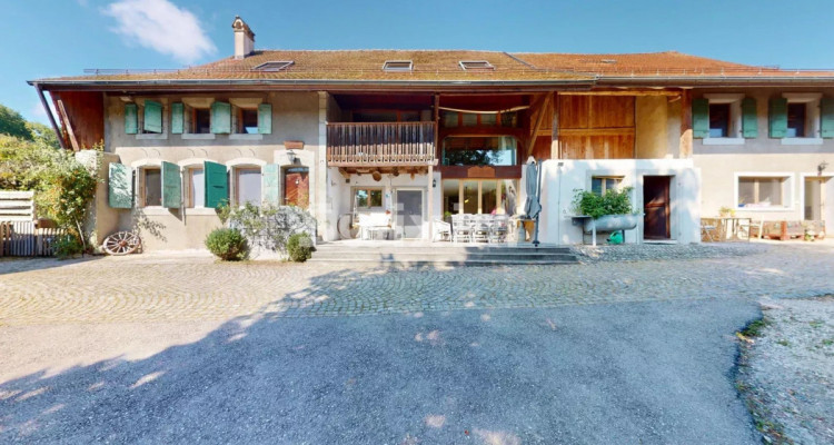 Rêvez grand : vivez la vie de vos passions ! image 4