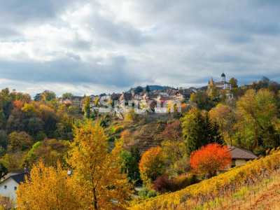 Spacieuse Maison Familiale, à proximité de Rolle image 1