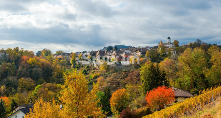 Spacieuse Maison Familiale, à proximité de Rolle image 1