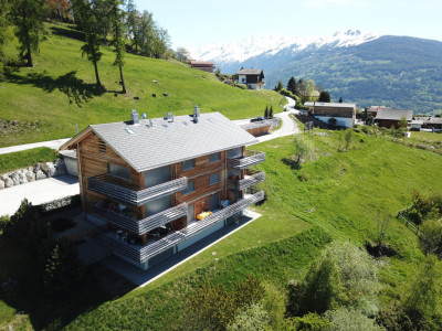 Profitez de la montagne les week-ends en R2 ou toute lannée à Nax image 1