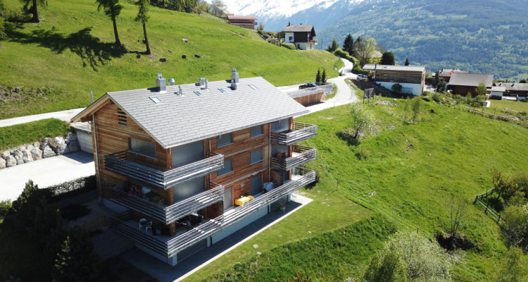 Profitez de la montagne les week-ends en R2 ou toute lannée à Nax image 1