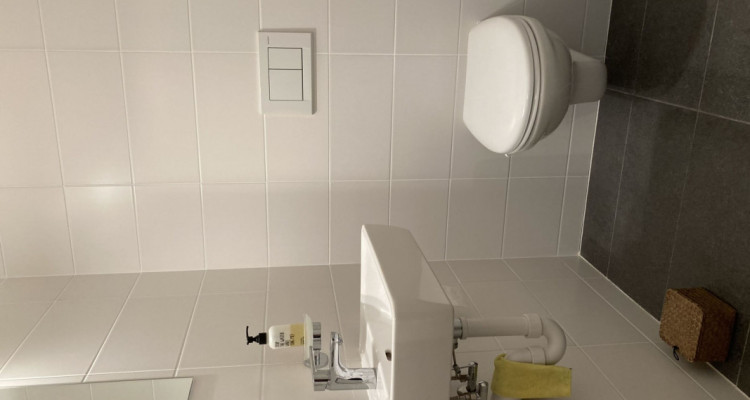 Profitez de la montagne les week-ends en R2 ou toute lannée à Nax image 10