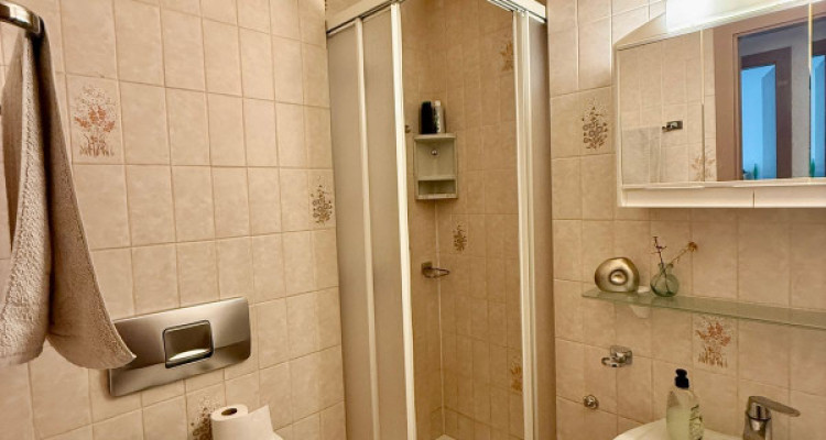 APPARTEMENT LUMINEUX DE 5 PCS, 119 M2, SION ! image 10