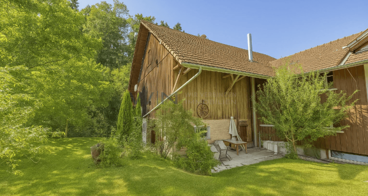 Landleben neu interpretiert: Raum für Menschen, Projekte und Zukunft image 11