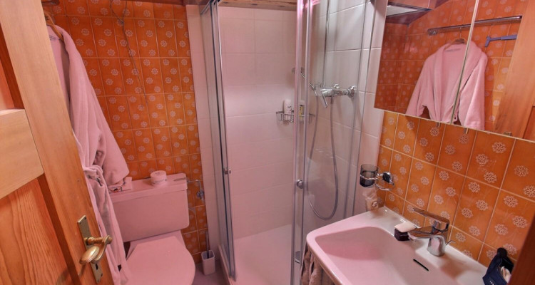 Superbe maison individuelle avec vue Lac en viager occupé sans rente image 13