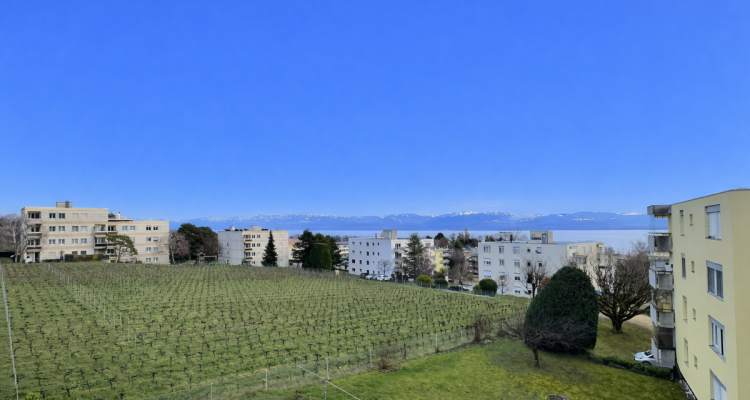 Charmant appartement en viager occupé sans rente, idéalement situé à Mont-sur-Rolle, au coeur de lun des villages les plus prisés de La Côte. image 13
