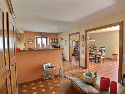 Jolie maison de village en viager occupé sans rente image 8