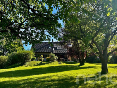 Maison individuelle sur un grand terrain image 2