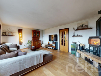 Maison individuelle sur un grand terrain image 5