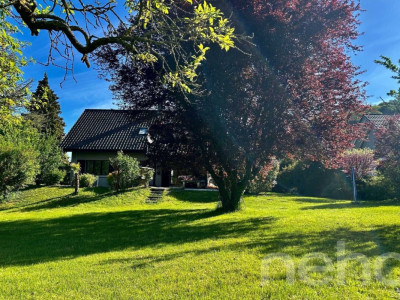 Maison individuelle sur un grand terrain image 12