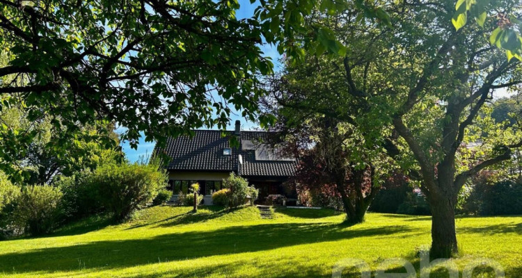 Maison individuelle sur un grand terrain image 2