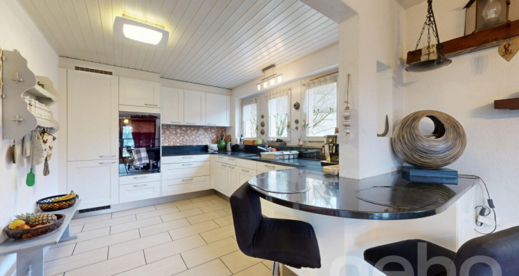 Maison individuelle sur un grand terrain image 7