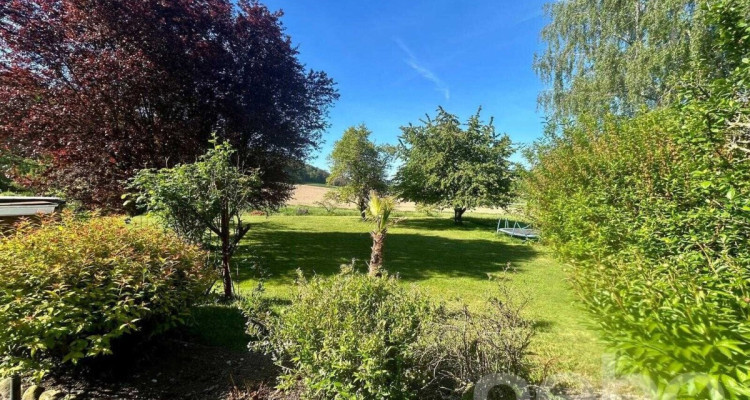 Maison individuelle sur un grand terrain image 11