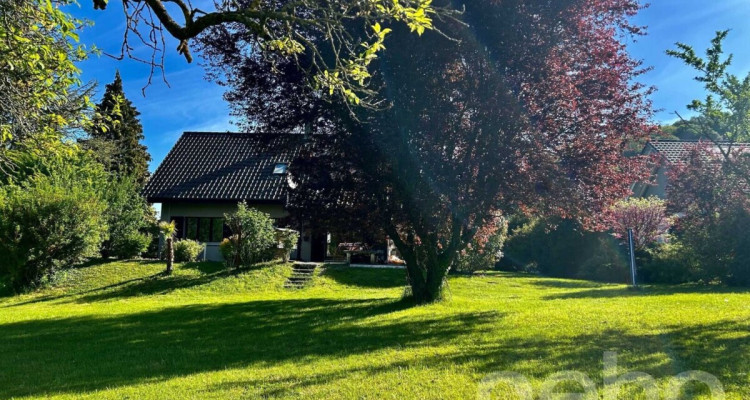 Maison individuelle sur un grand terrain image 12