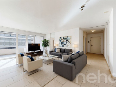 Spacieux appartement traversant avec grande terrasse image 2