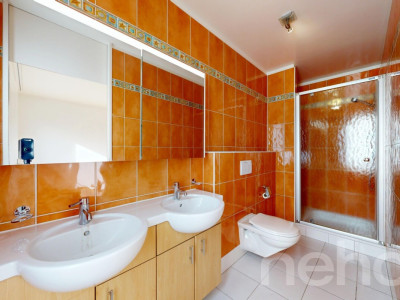 Spacieux appartement traversant avec grande terrasse image 12