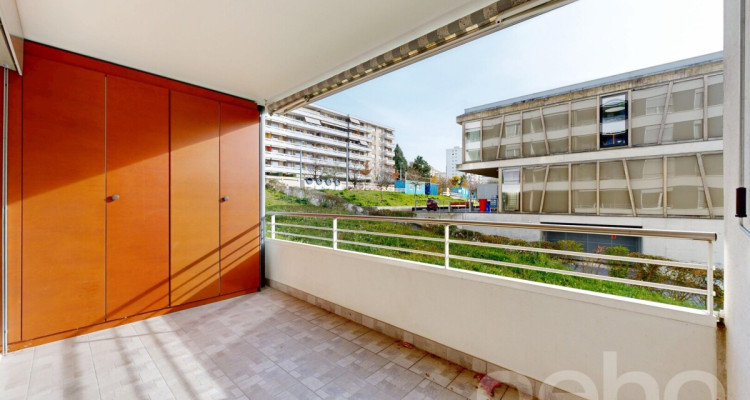 Spacieux appartement traversant avec grande terrasse image 4