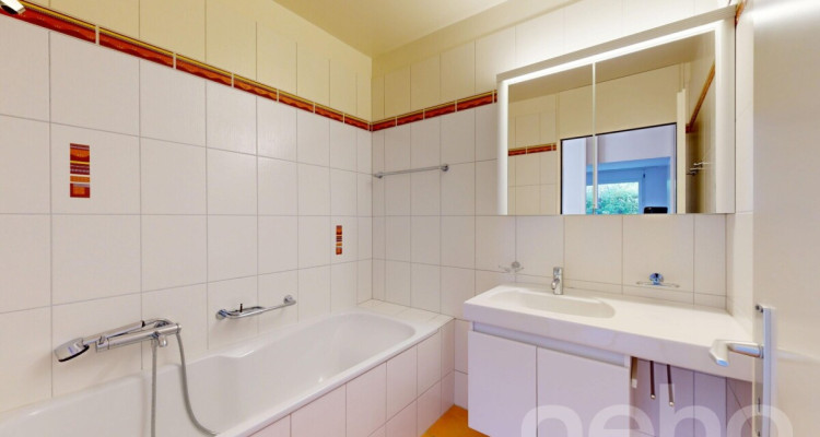 Spacieux appartement traversant avec grande terrasse image 10