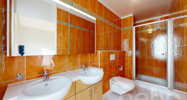 Spacieux appartement traversant avec grande terrasse image 12