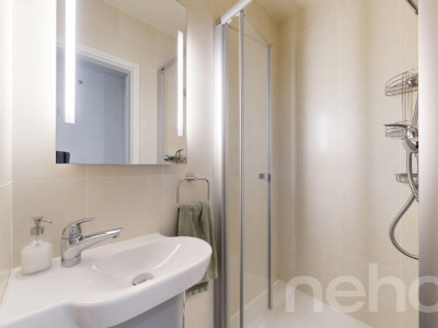 Lausanne ? Montelly : Attique traversant baigné de lumière image 12