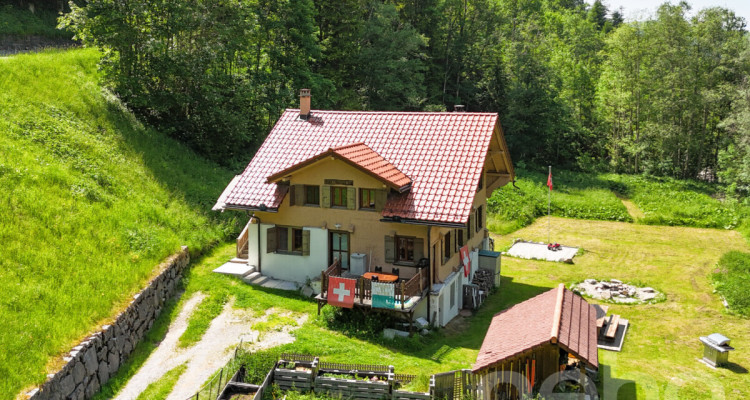 Authentique chalet rénové - grand terrain au bord de la rivière image 2