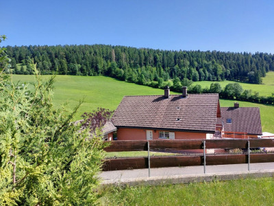 Belle villa individuelle disposant de deux appartements distincts ainsi que de deux garages image 4