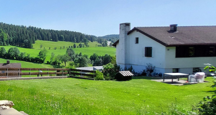 Belle villa individuelle disposant de deux appartements distincts ainsi que de deux garages image 3