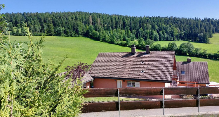 Belle villa individuelle disposant de deux appartements distincts ainsi que de deux garages image 4