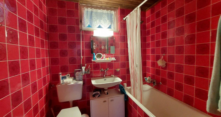 Belle villa individuelle disposant de deux appartements distincts ainsi que de deux garages image 13