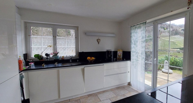 Charmante villa individuelle bénéficiant dun grand jardin, idéalement située image 6