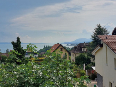 Charmante maison avec jardin, comprenant deux appartements ainsi quun salon de coiffure image 3