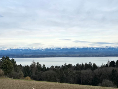 Belle villa individuelle avec vue sur le lac et les Alpes image 3