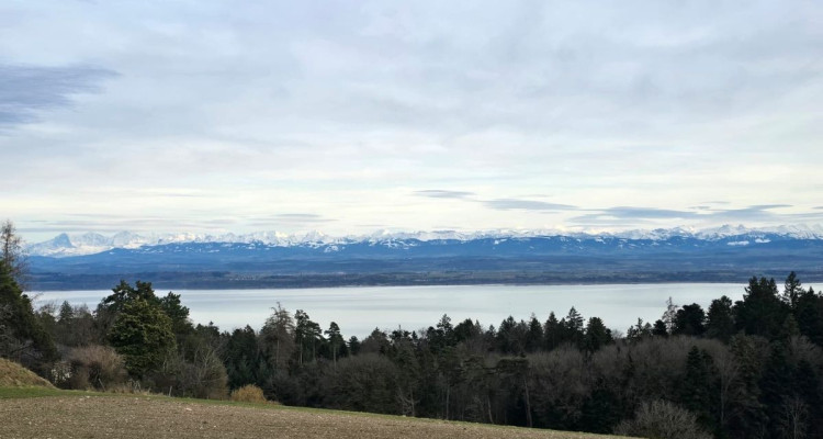 Belle villa individuelle avec vue sur le lac et les Alpes image 3