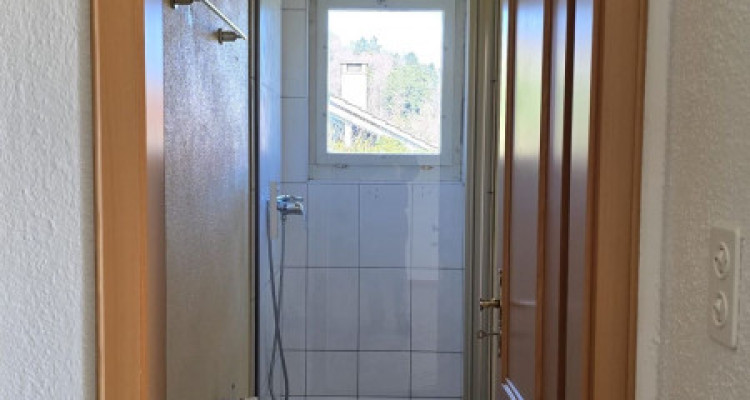 Belle villa individuelle avec vue sur le lac et les Alpes image 10