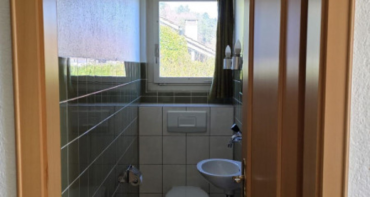 Belle villa individuelle avec vue sur le lac et les Alpes image 11